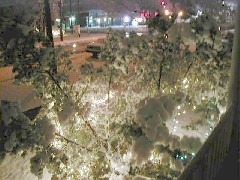 First snow from front porch; West Avenue